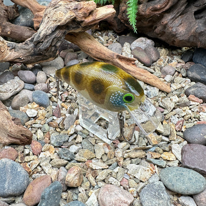 JKB 2.5 SB