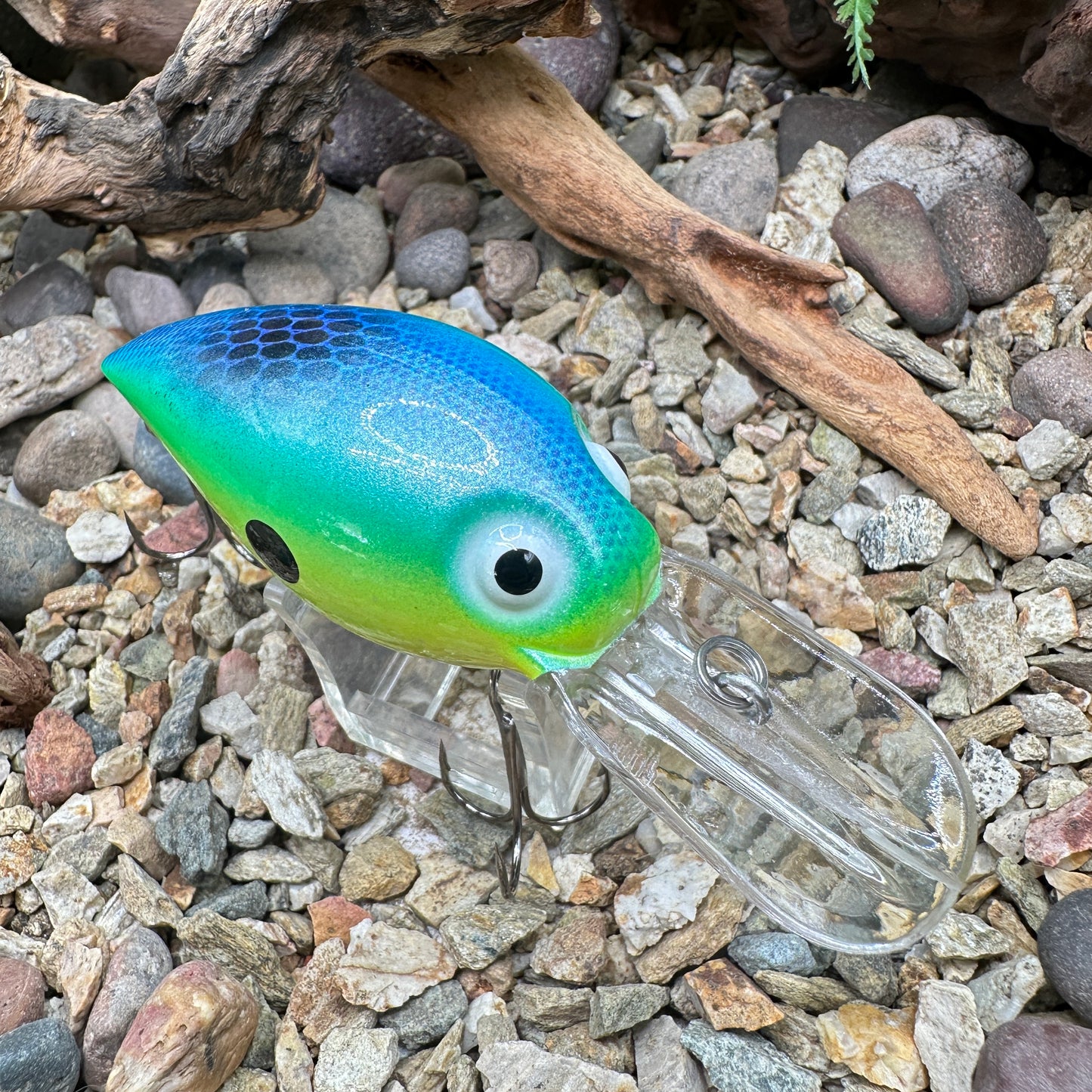 JKB DD Wiggle Wart