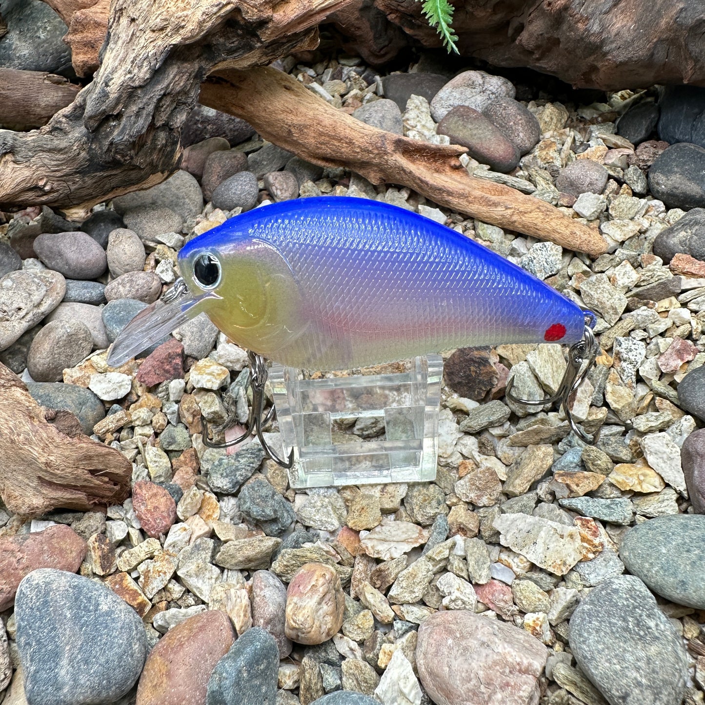 JKB 2.5 SB
