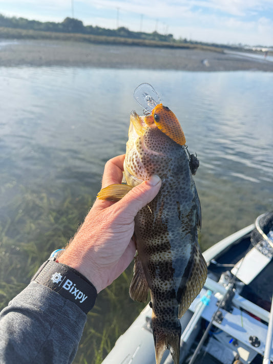 JKB MD Wiggle Wart