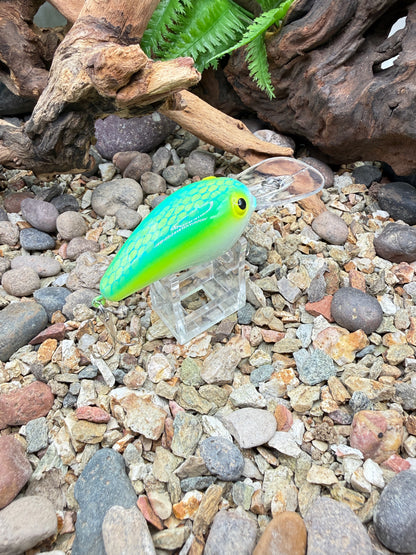 JKB MD Wiggle Wart