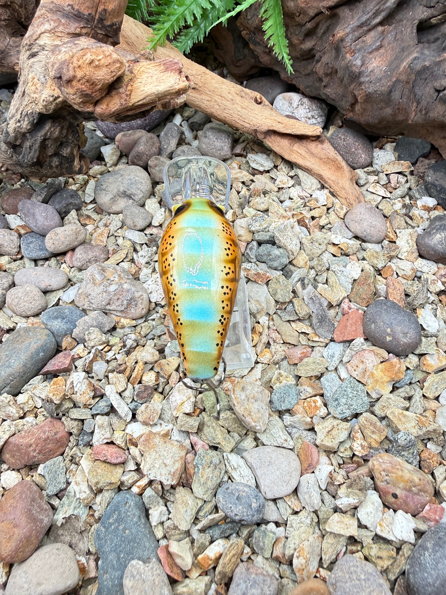 JKB Wiggle Wart
