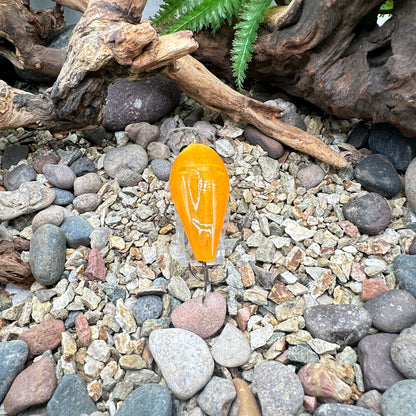 JKB OG Wiggle Wart