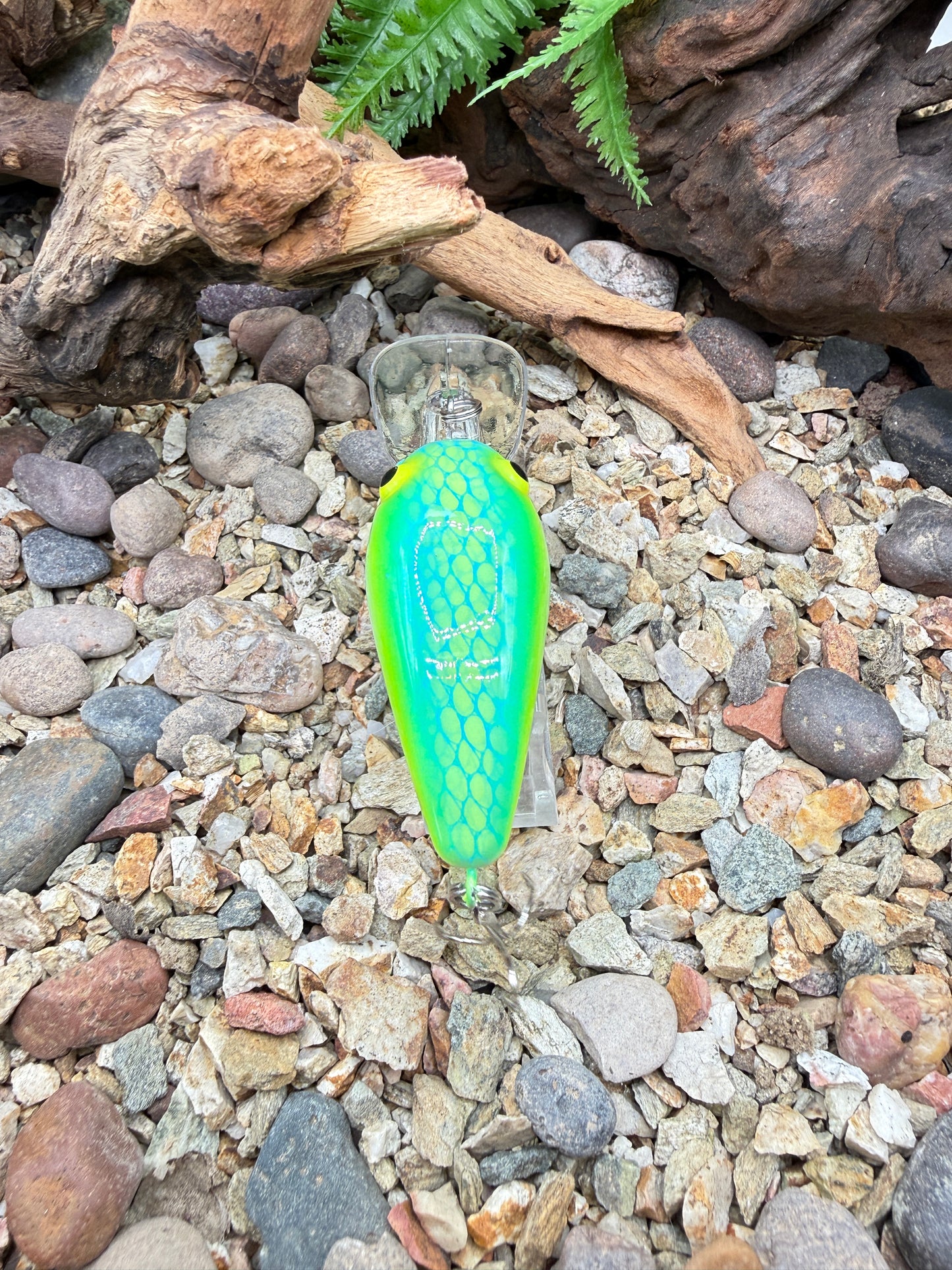 JKB MD Wiggle Wart