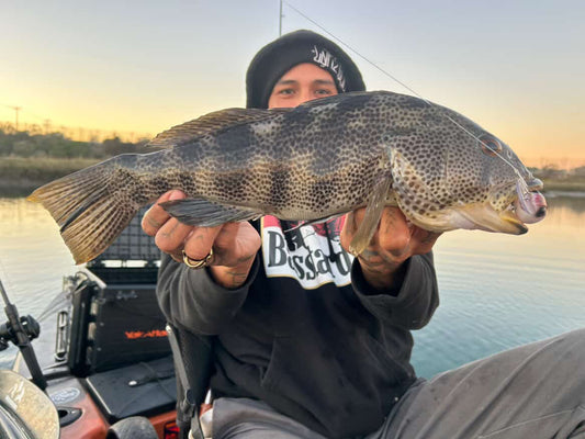 JKB DD Wiggle Wart - S-Dread Red