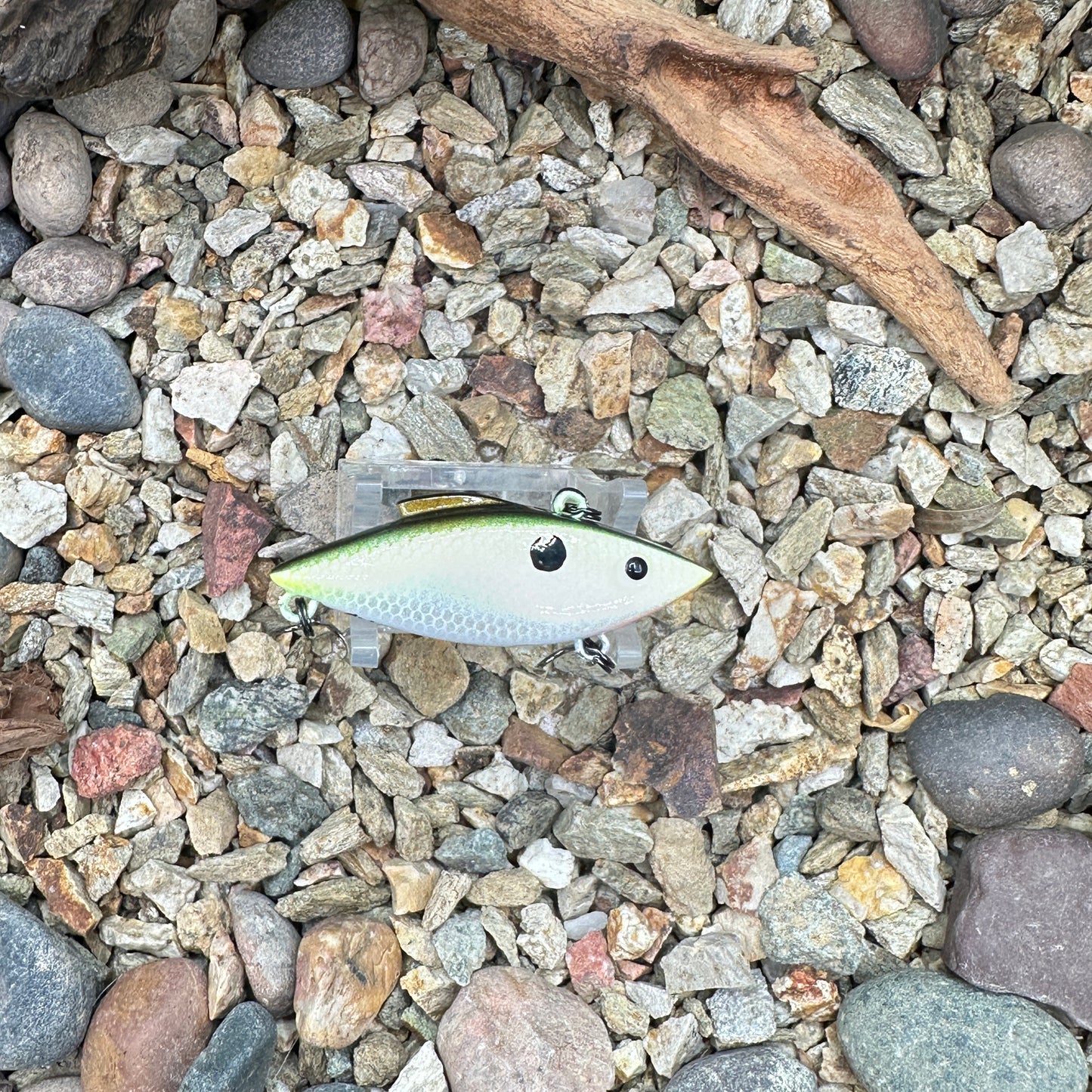 JKB Tiny Trap