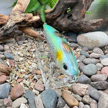 Shimano Current Sniper -Repaint