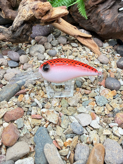 JKB Wiggle Wart S Dread Red