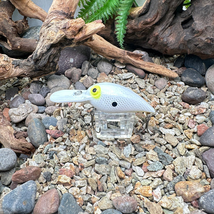 JKB OG Wiggle Wart