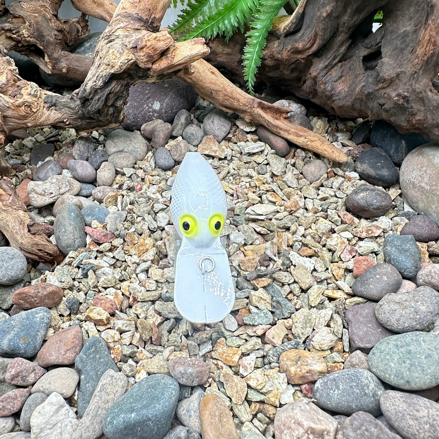 JKB OG Wiggle Wart