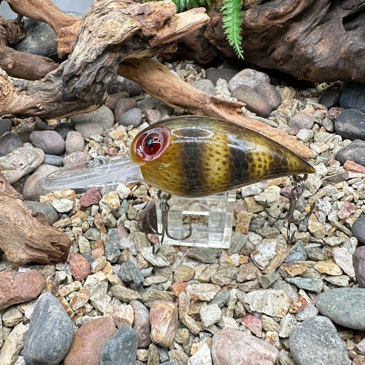 JKB DD Wiggle Wart