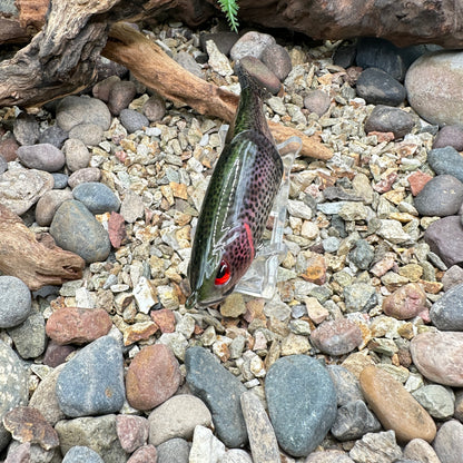 JKB Mini Arashi