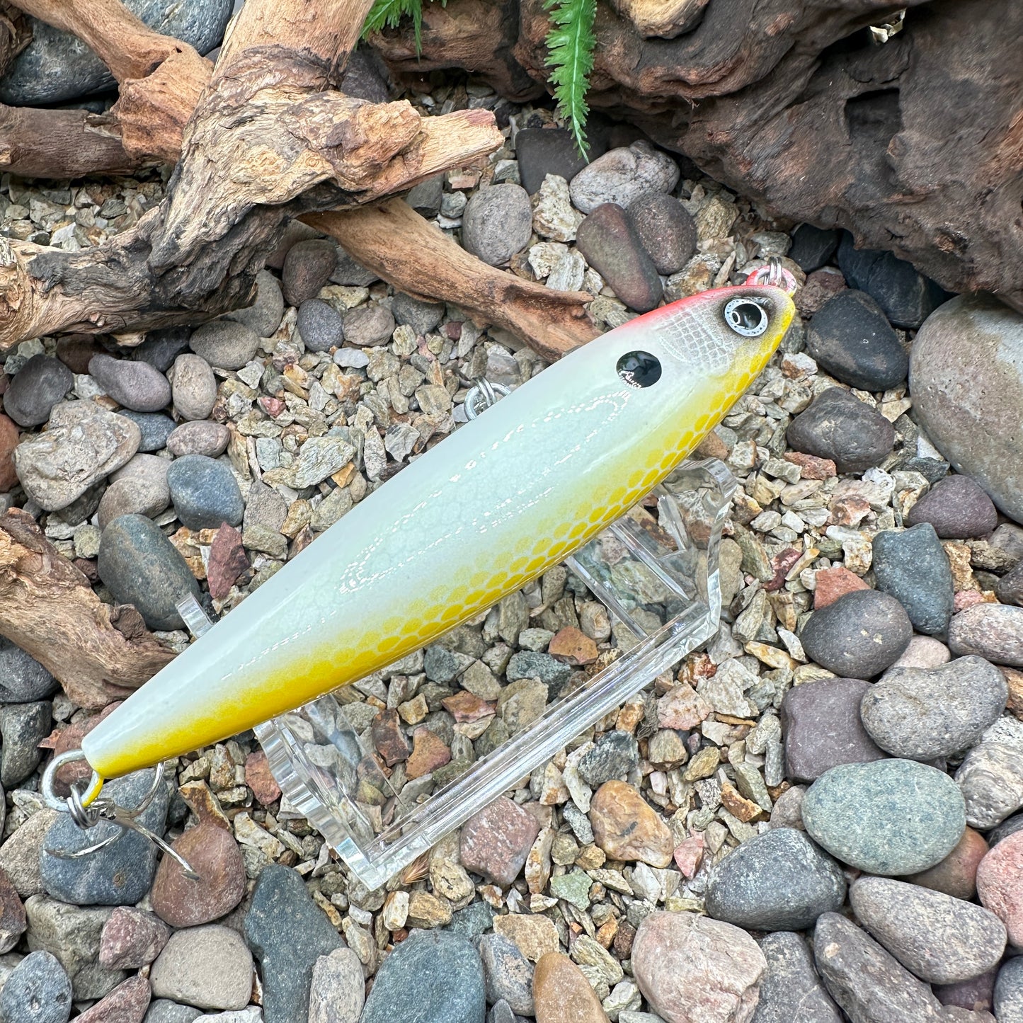 Shimano Current Sniper -Repaint