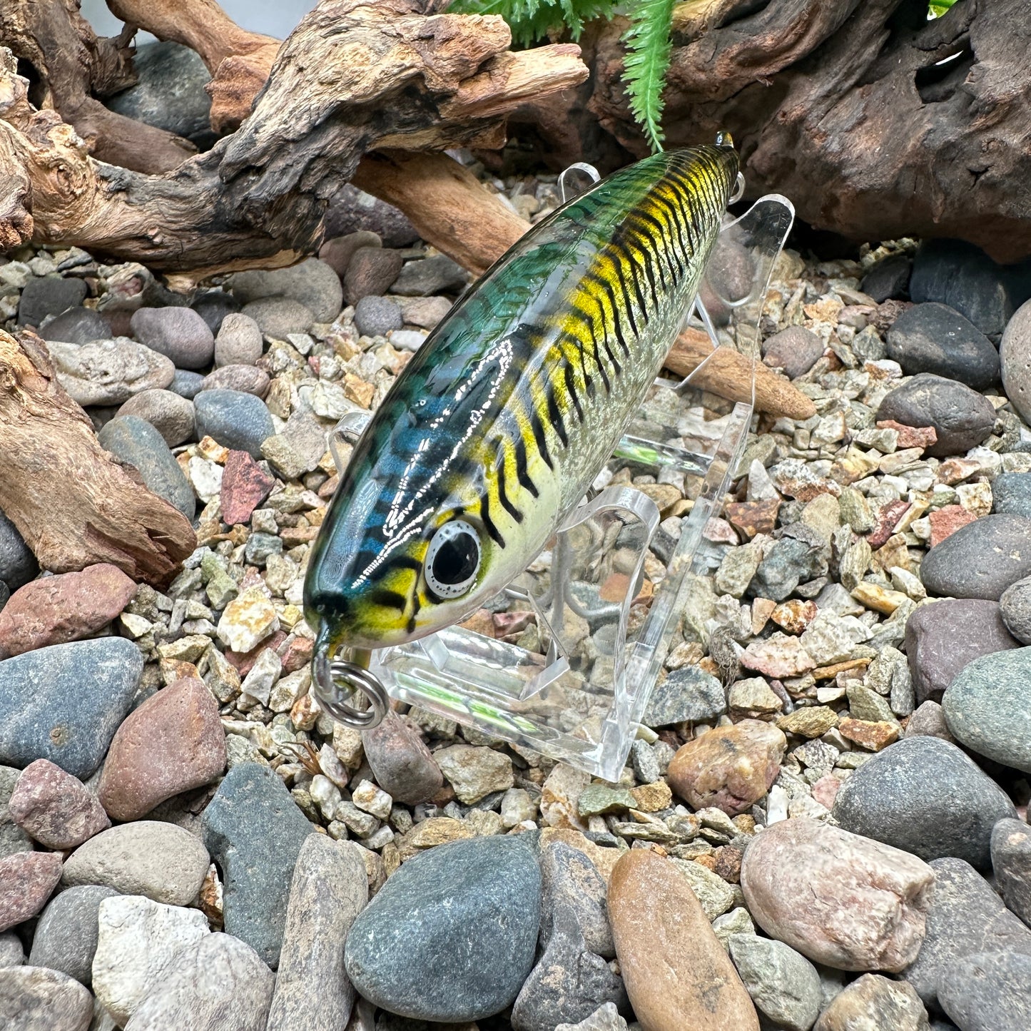 Shimano Current Sniper -Repaint