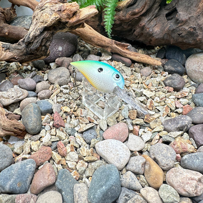 JKB OG Wiggle Wart