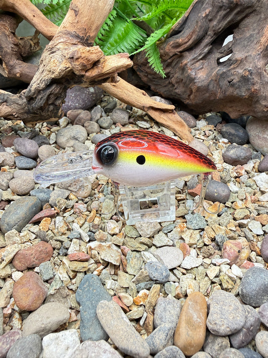 JKB DD Wiggle Wart Sunset Dread