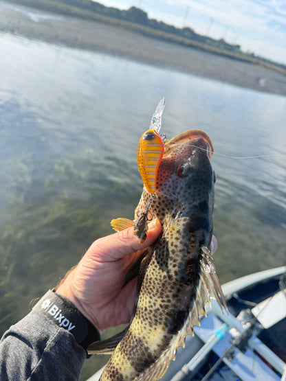 JKB MD Wiggle Wart