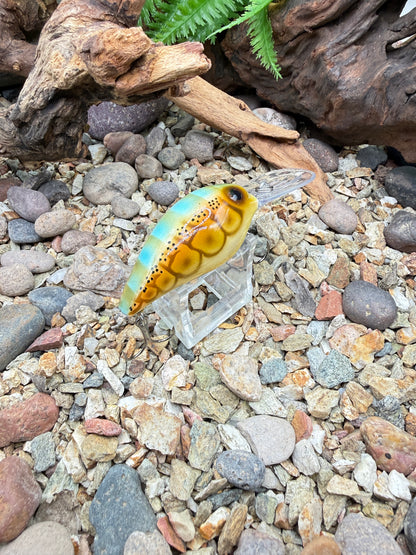 JKB Wiggle Wart