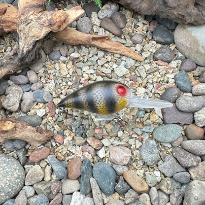 JKB DD Wiggle Wart Matte