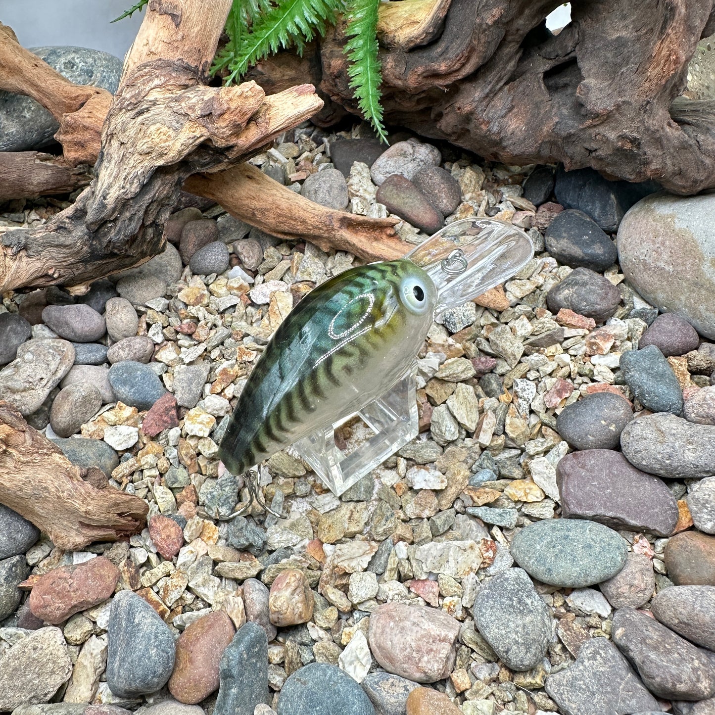 JKB DD Wiggle Wart
