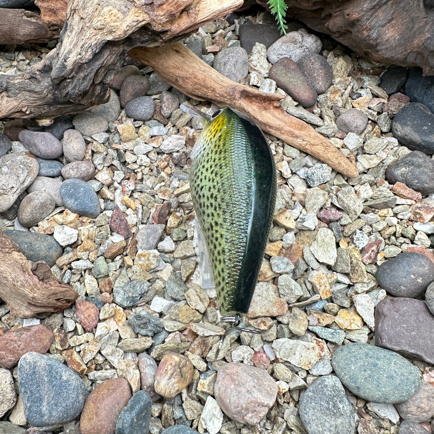 JKB 2.5 SB