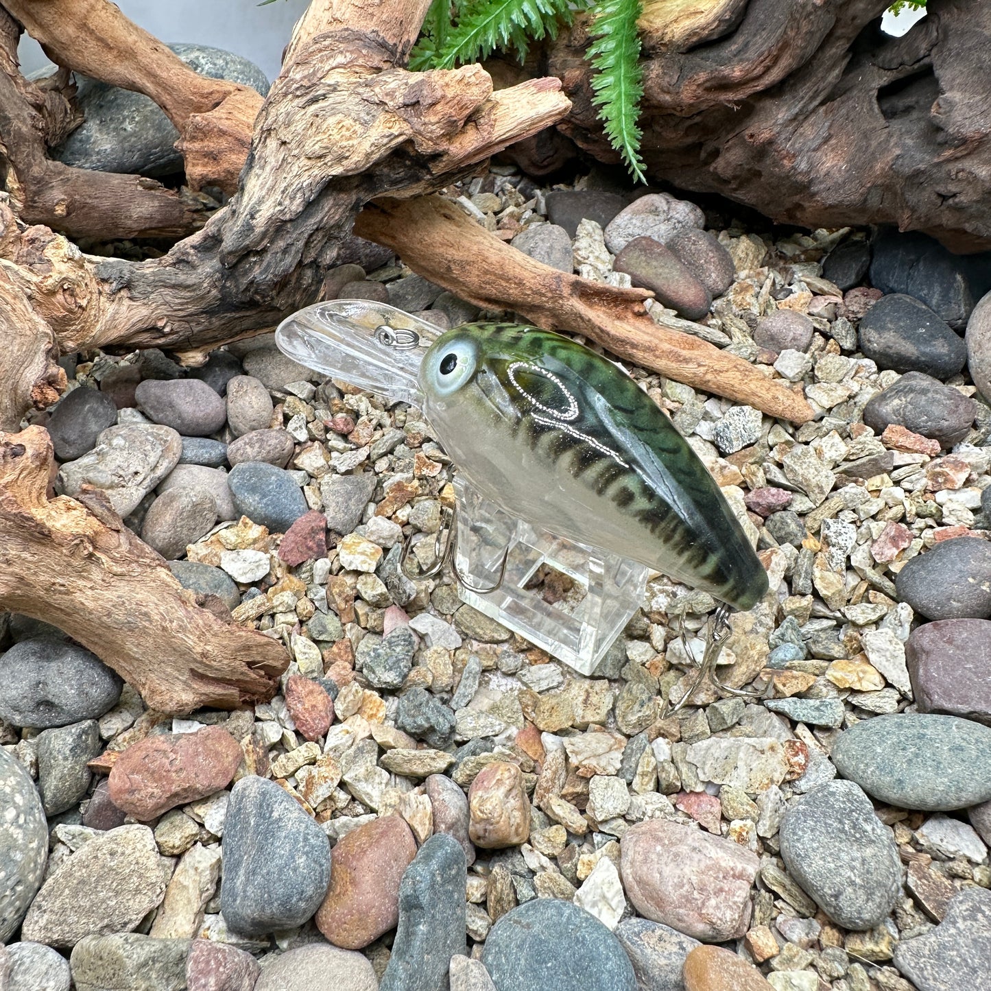 JKB DD Wiggle Wart