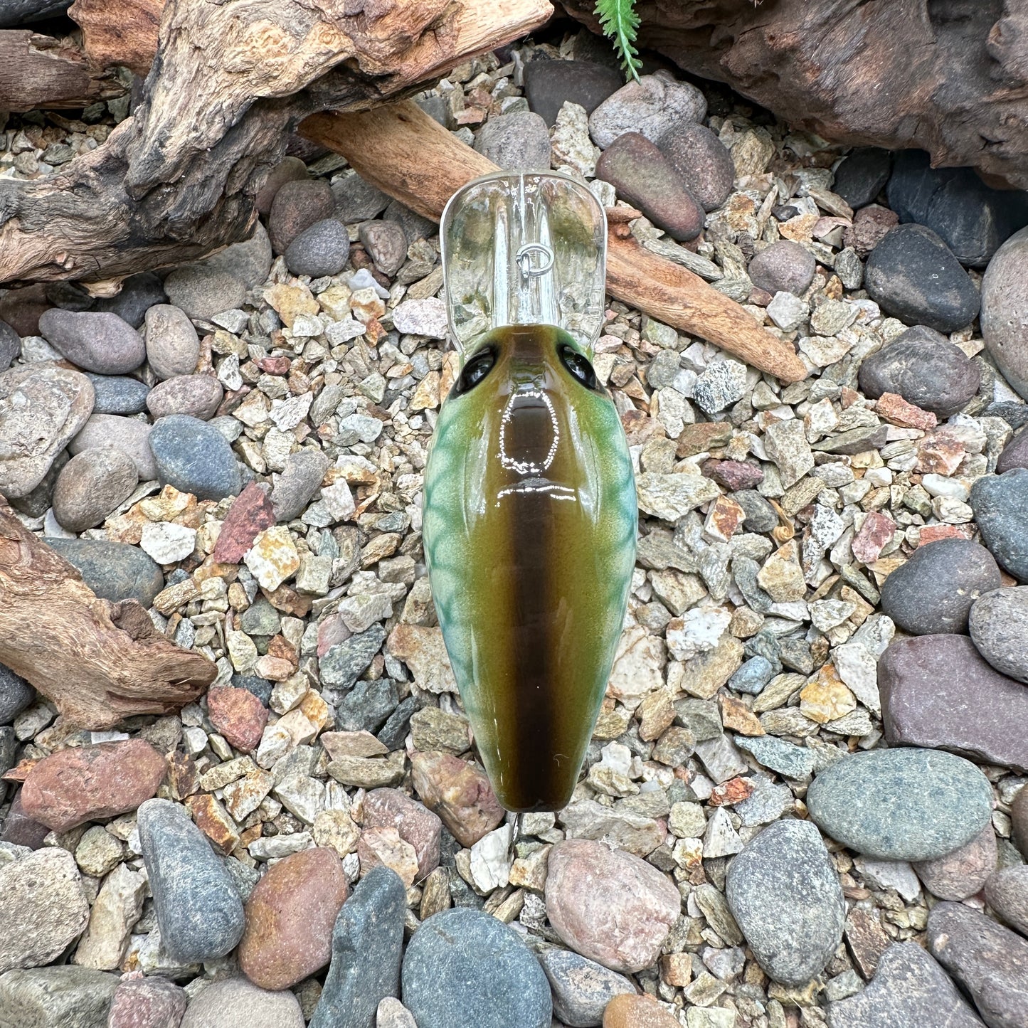 JKB DD Wiggle Wart