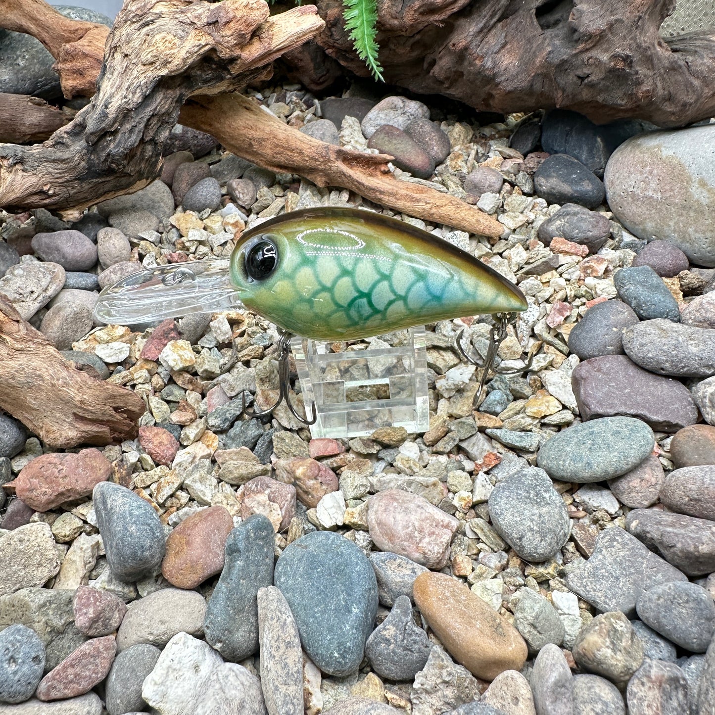JKB DD Wiggle Wart