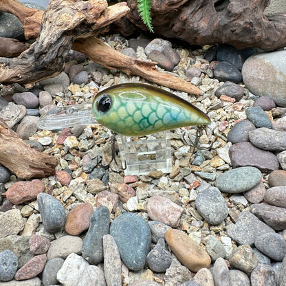 JKB DD Wiggle Wart