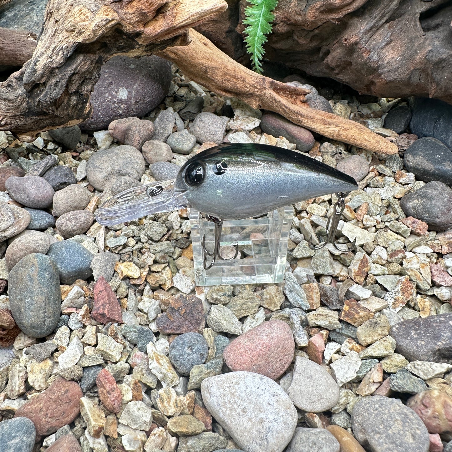 JKB OG Wiggle Wart
