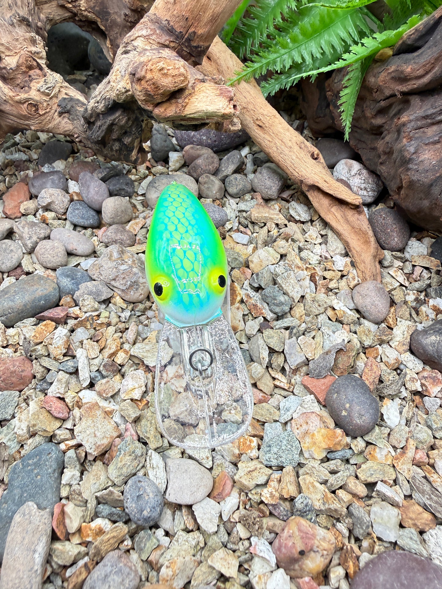 JKB MD Wiggle Wart
