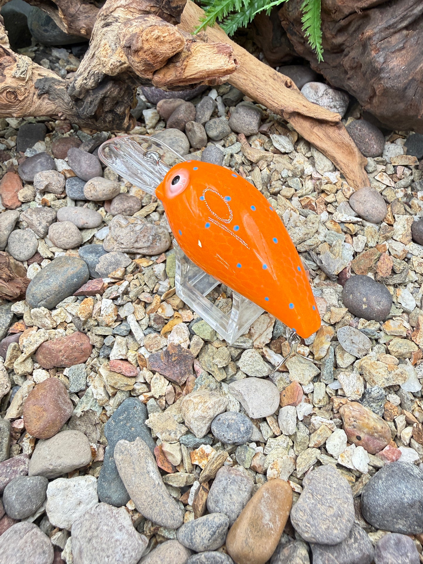 JKB DD Wiggle Wart
