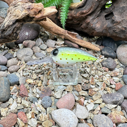 JKB OG Wiggle Wart