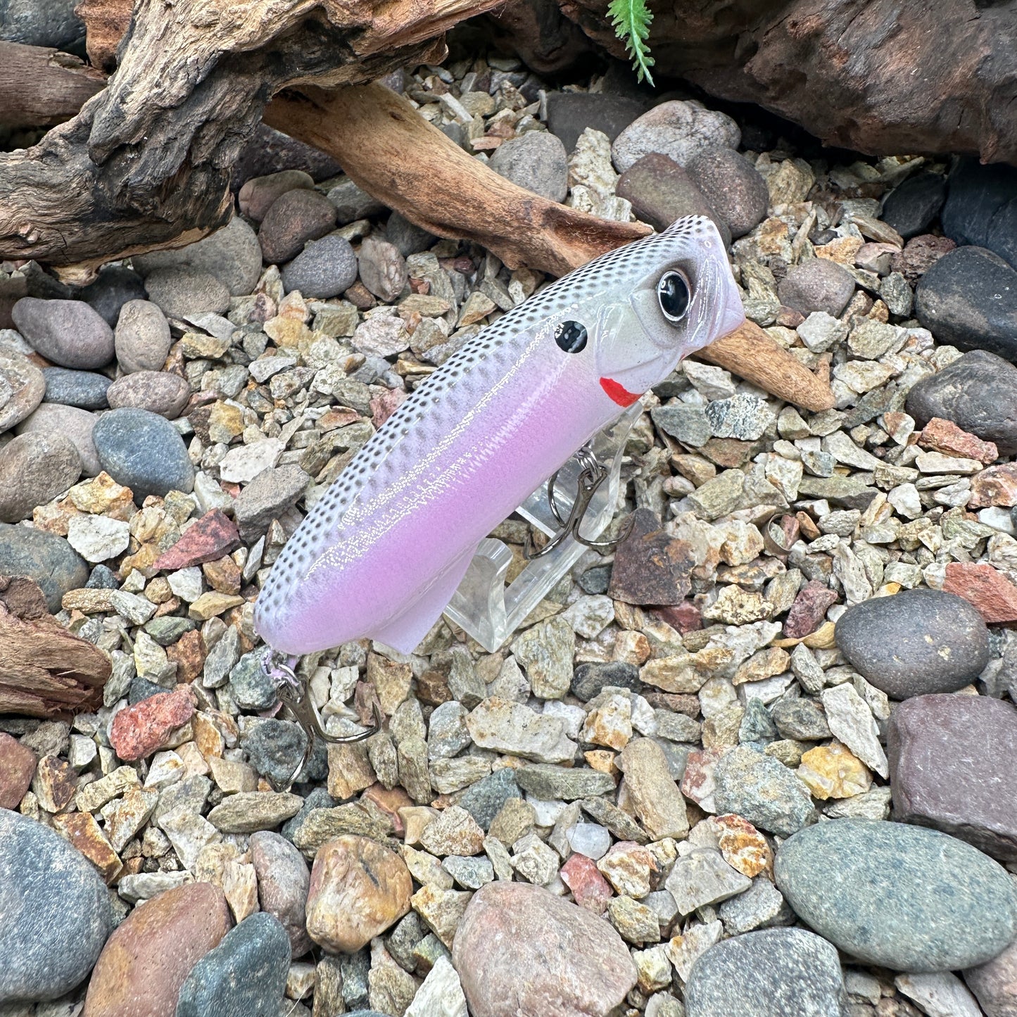 JKB S Popper CC