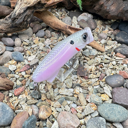 JKB S Popper CC