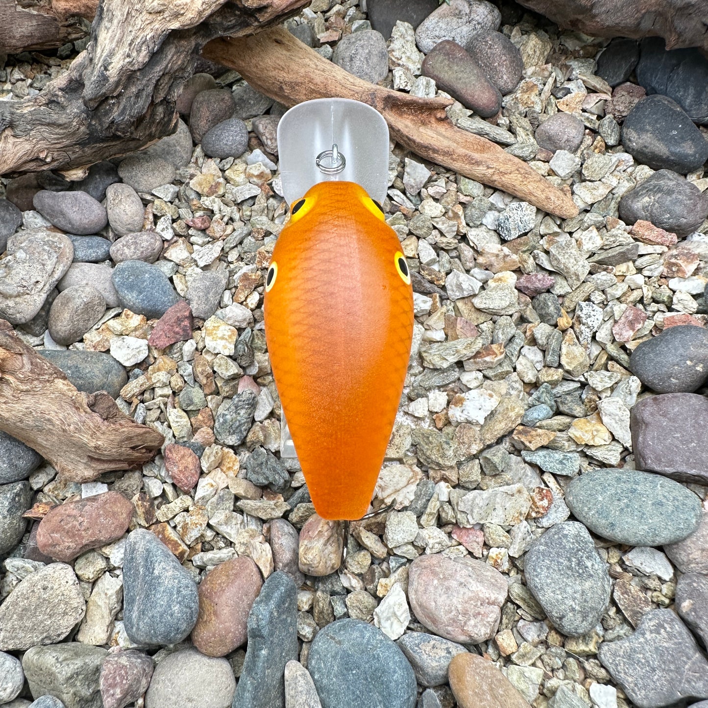 JKB DD Wiggle Wart