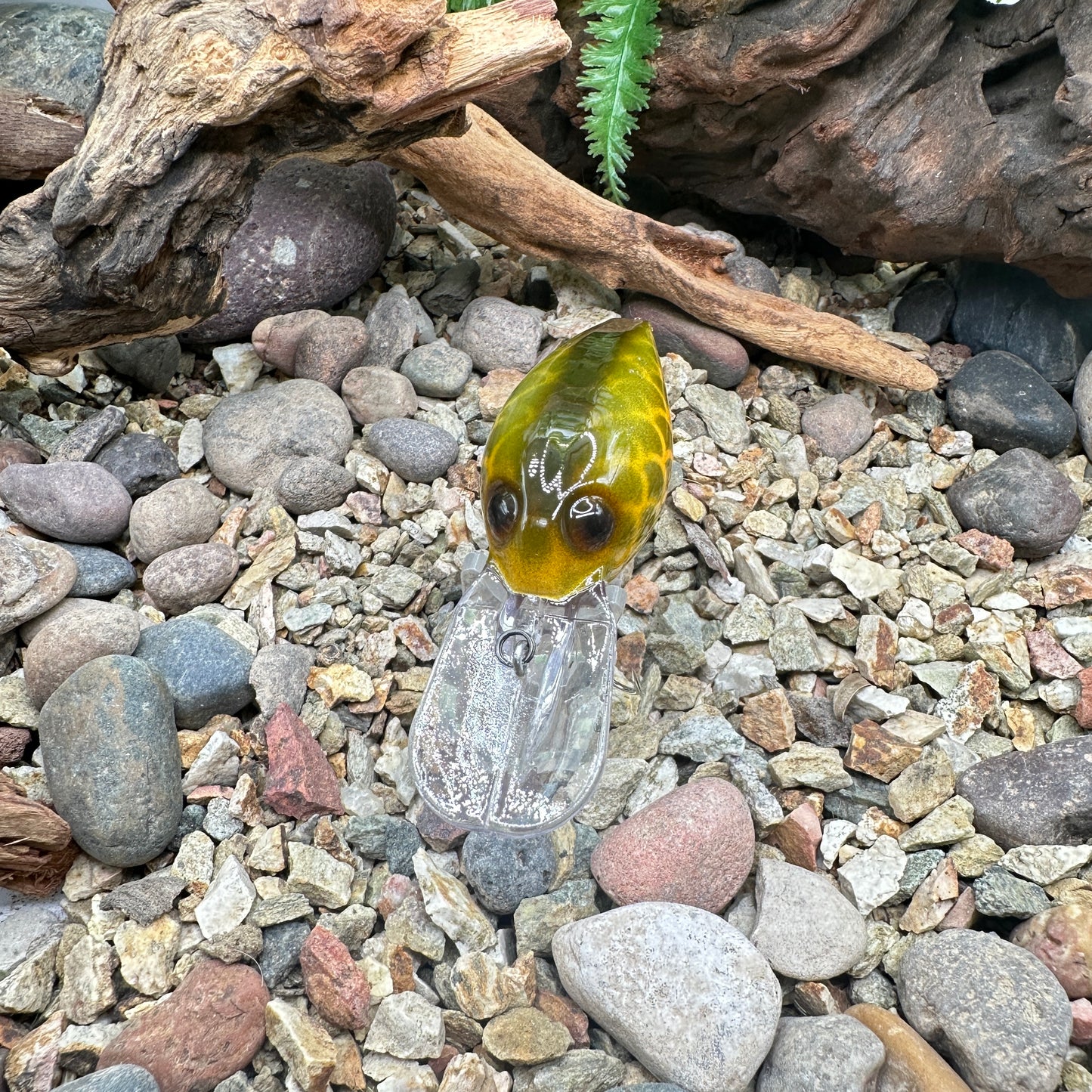 JKB OG Wiggle Wart