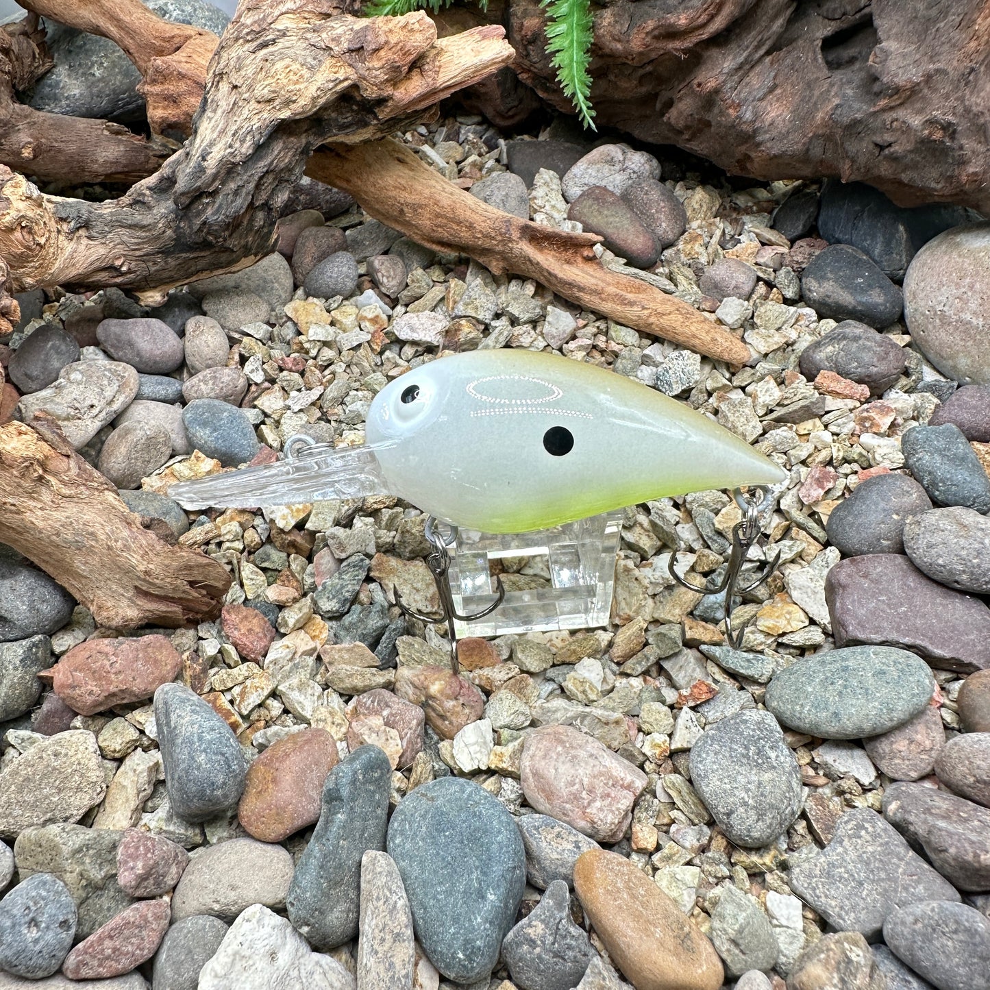 JKB DD Wiggle Wart