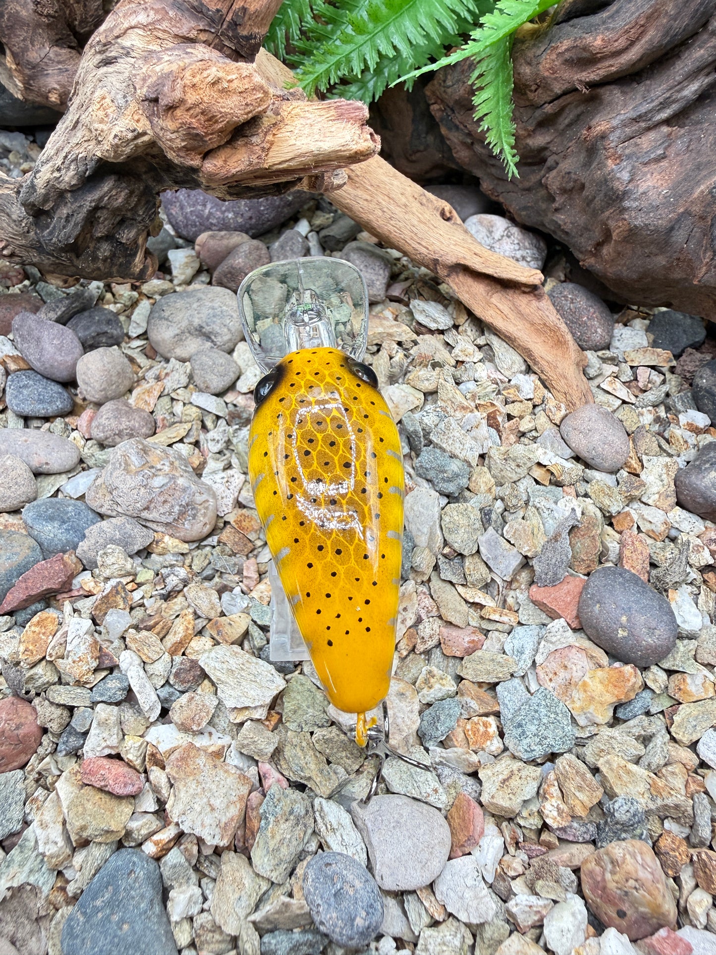 JKB MD Wiggle Wart