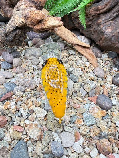 JKB MD Wiggle Wart