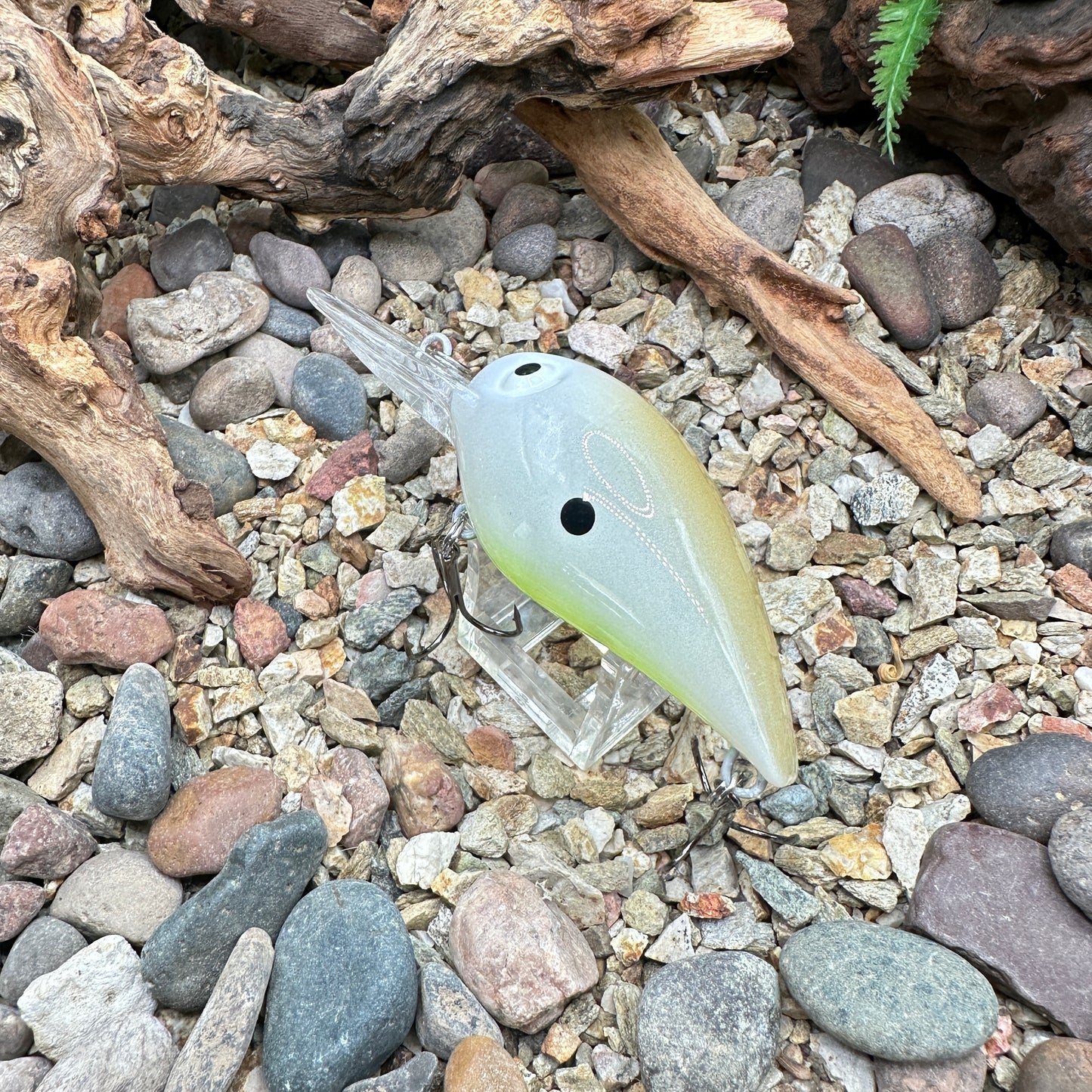 JKB DD Wiggle Wart