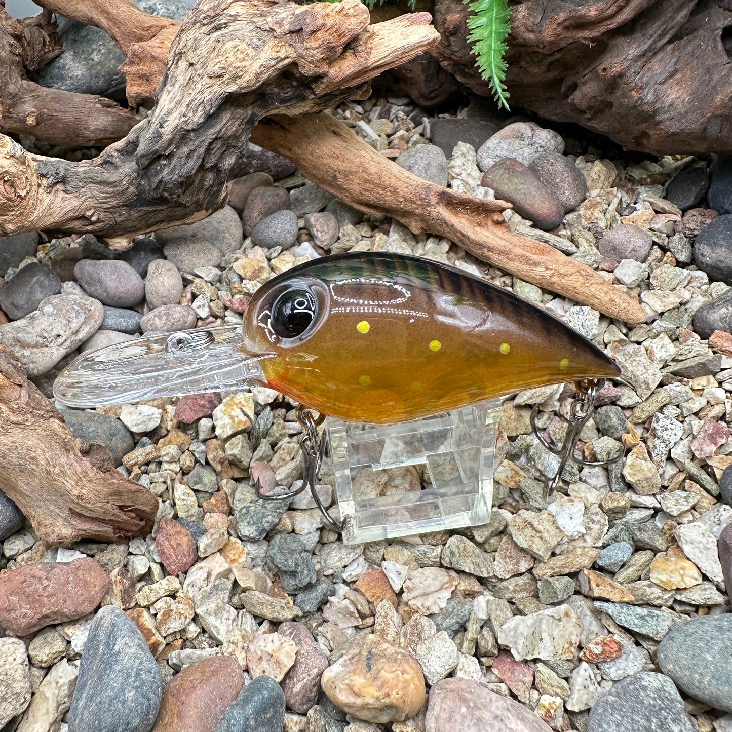 JKB DD Wiggle Wart