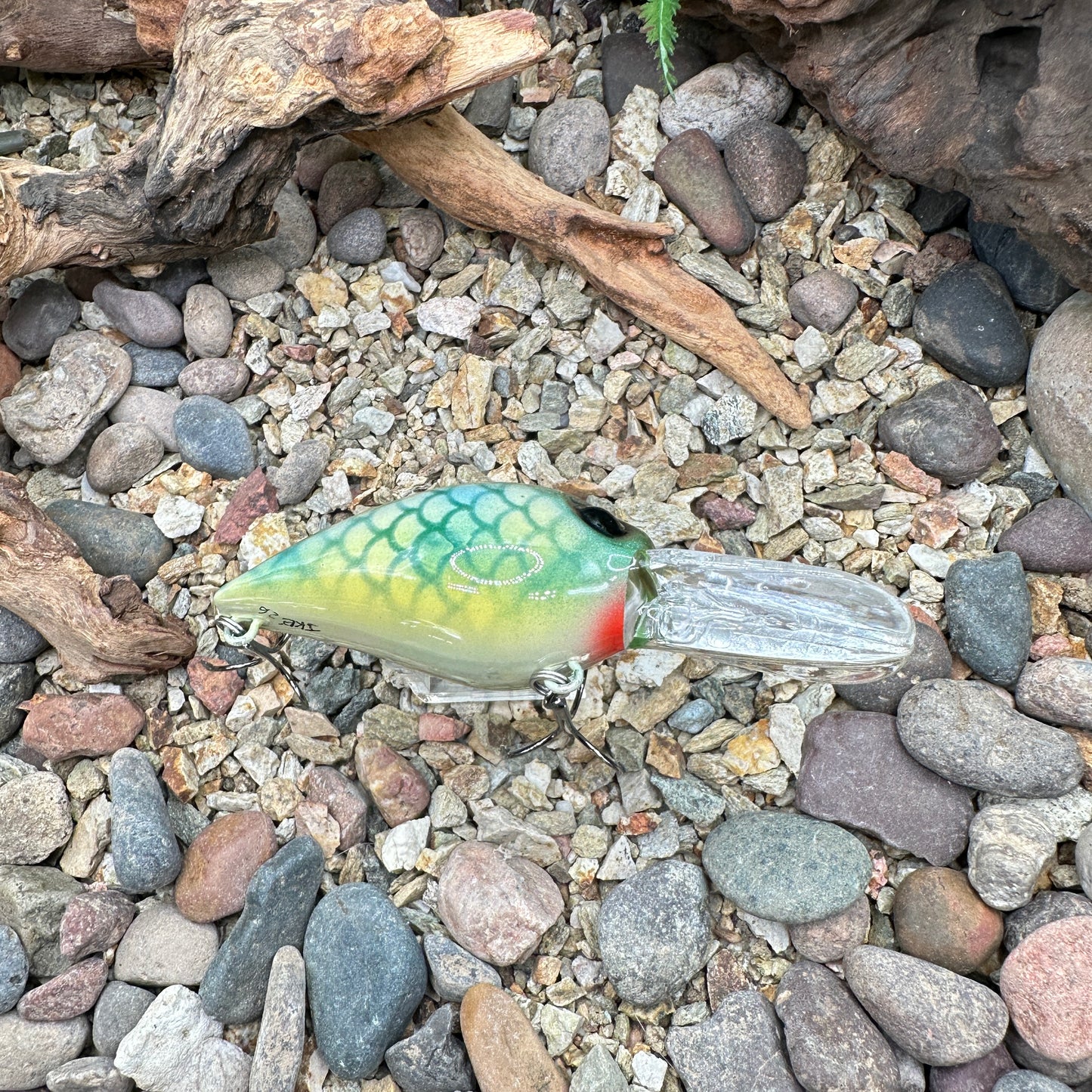 JKB DD Wiggle Wart