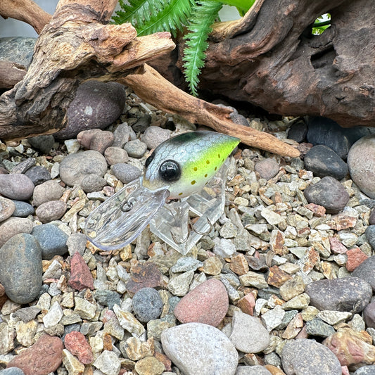 JKB OG Wiggle Wart