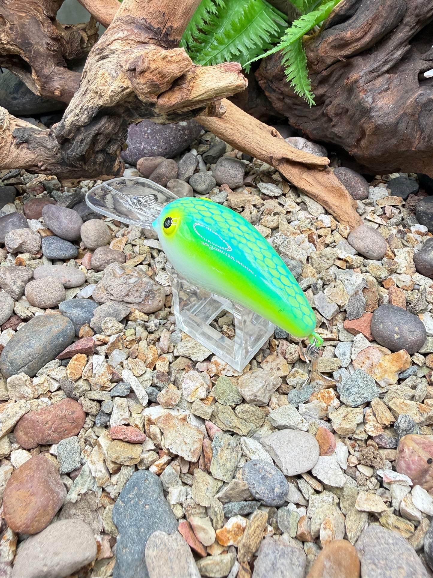 JKB MD Wiggle Wart