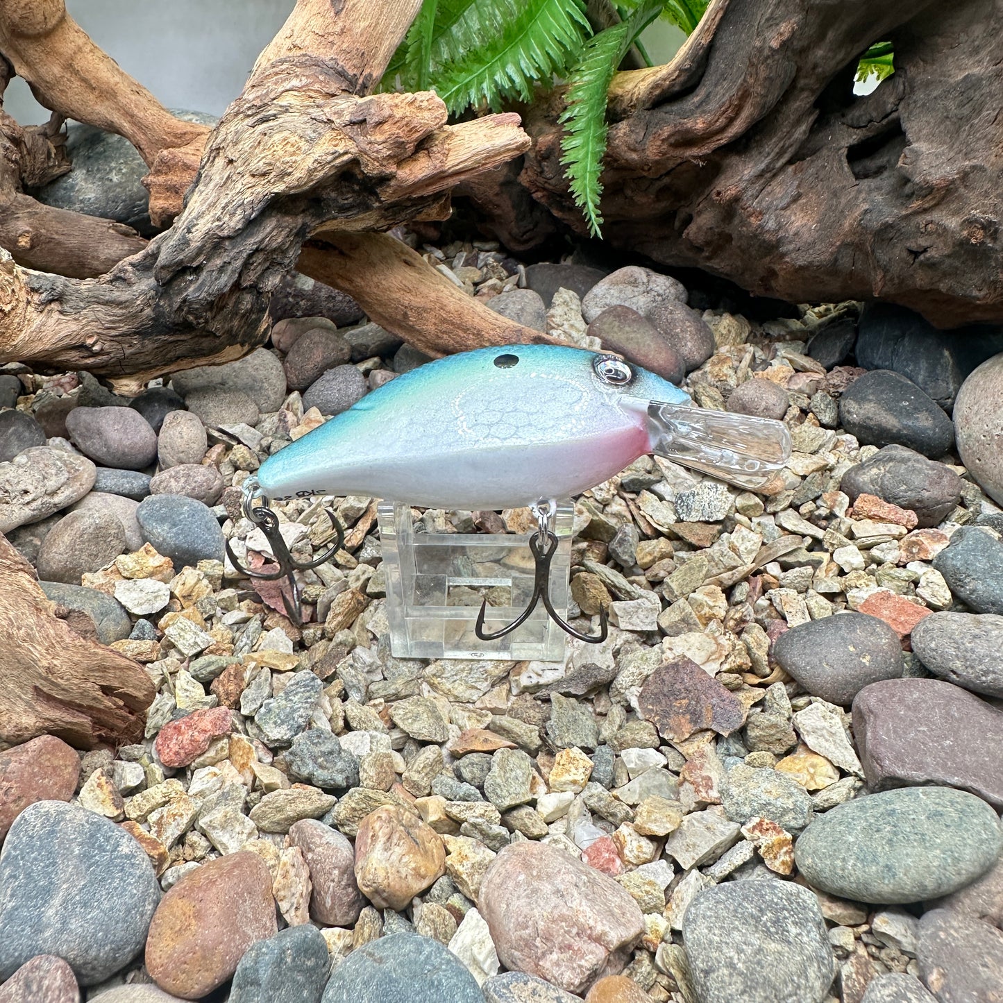 Speed Trap Repaint