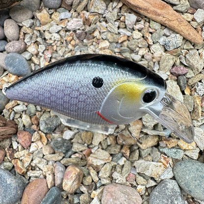 JKB 2.5 SB