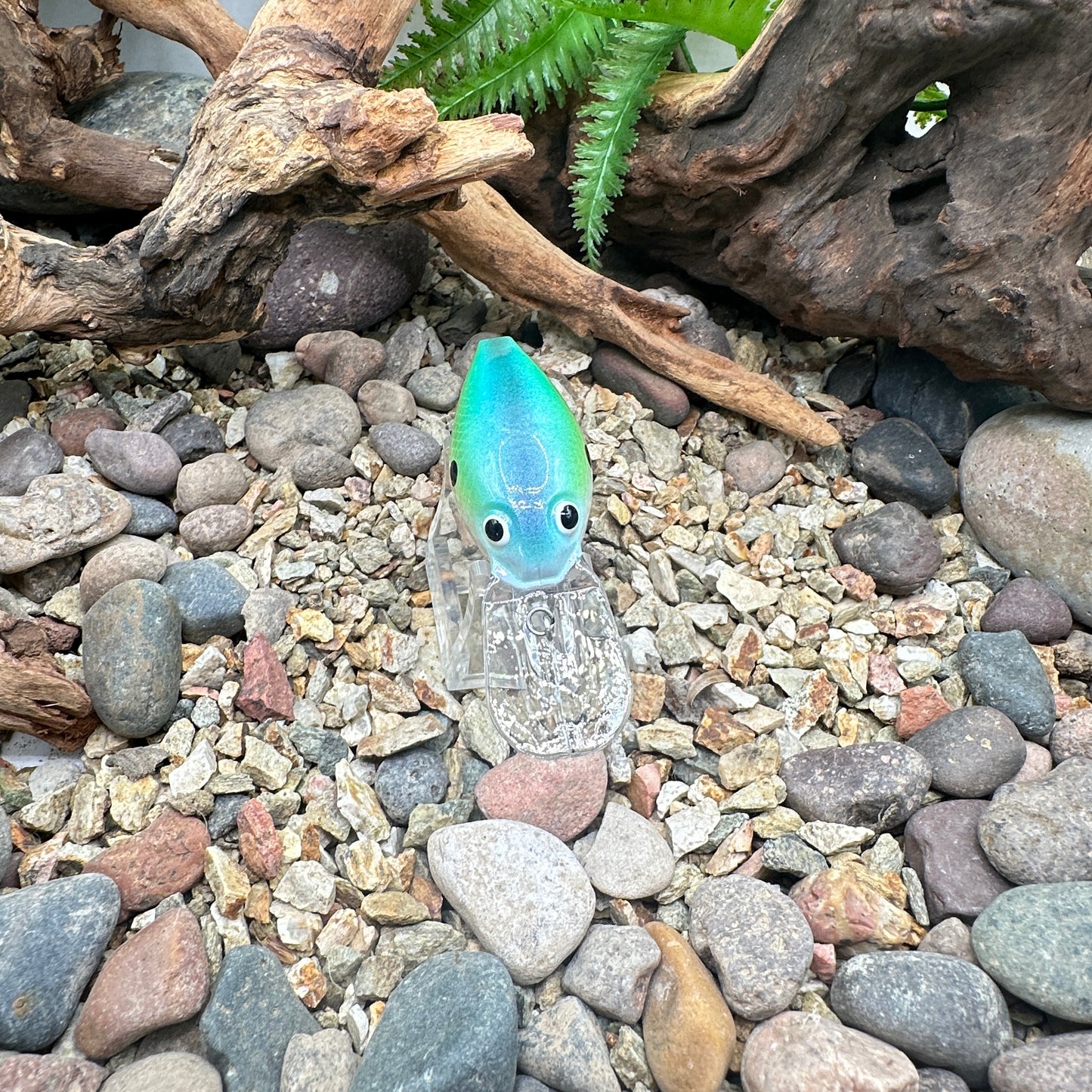 JKB OG Wiggle Wart