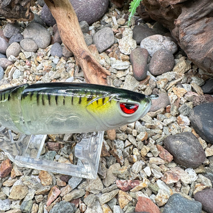 JKB Mini Arashi