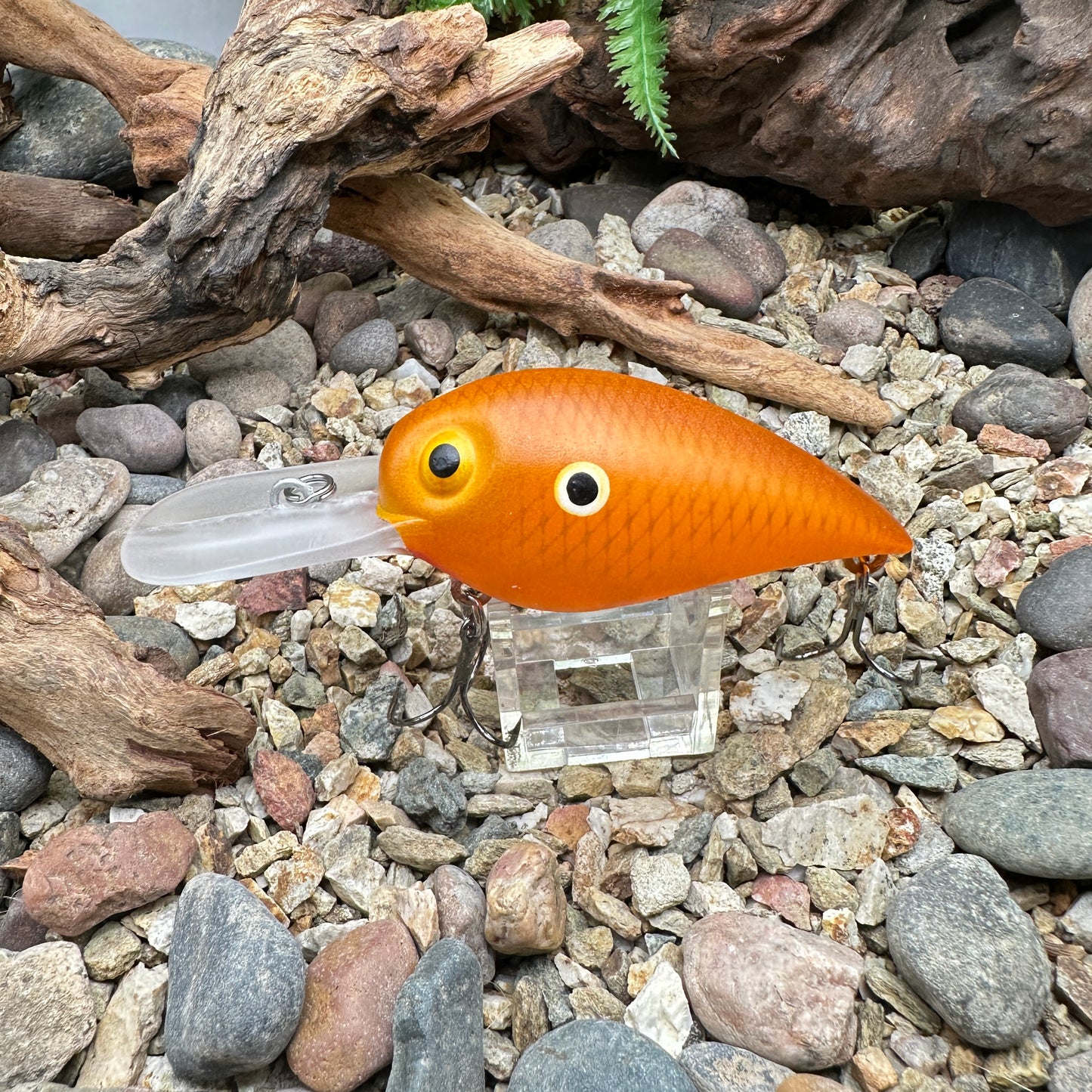 JKB DD Wiggle Wart